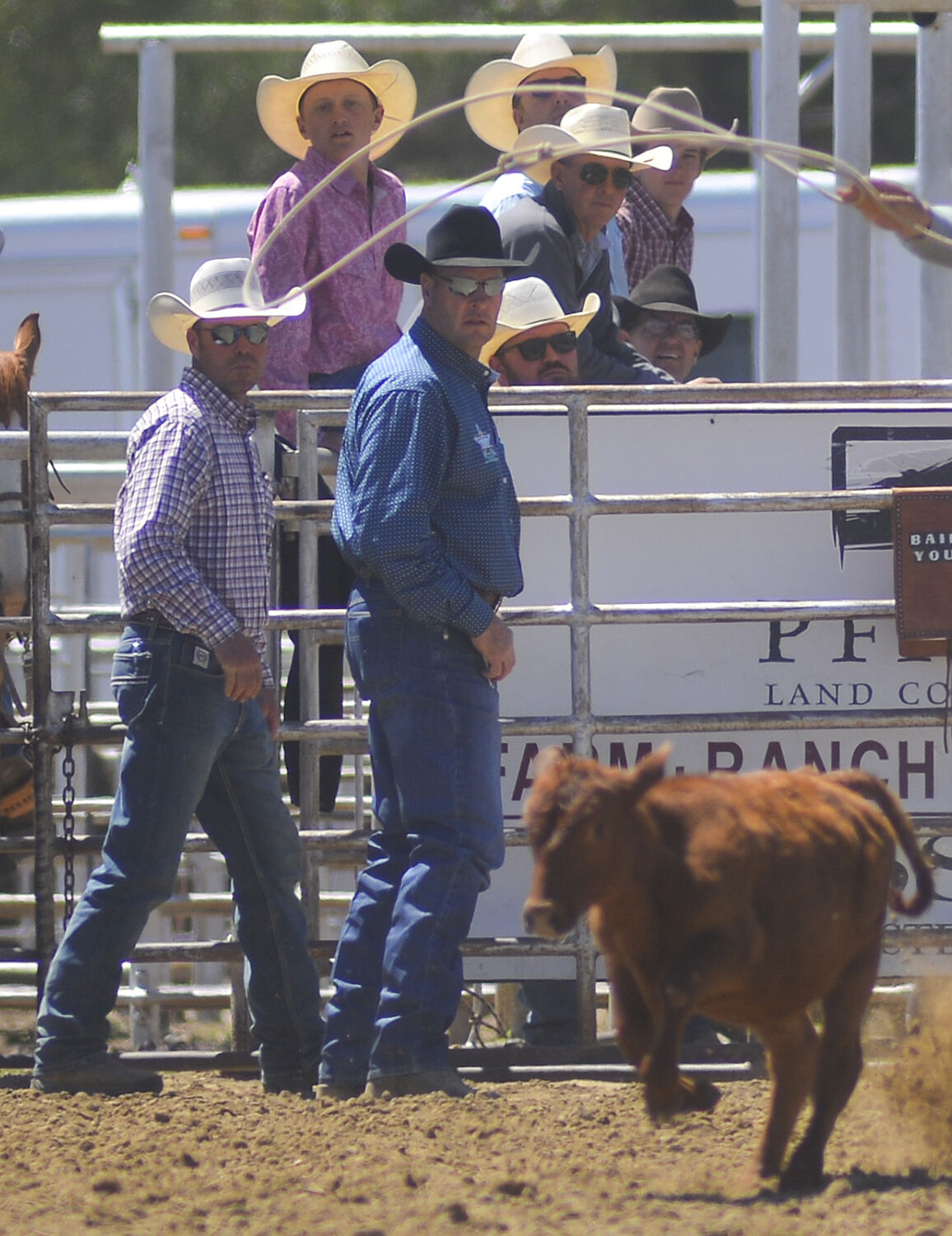 Everyone behind the chutes turns to watch